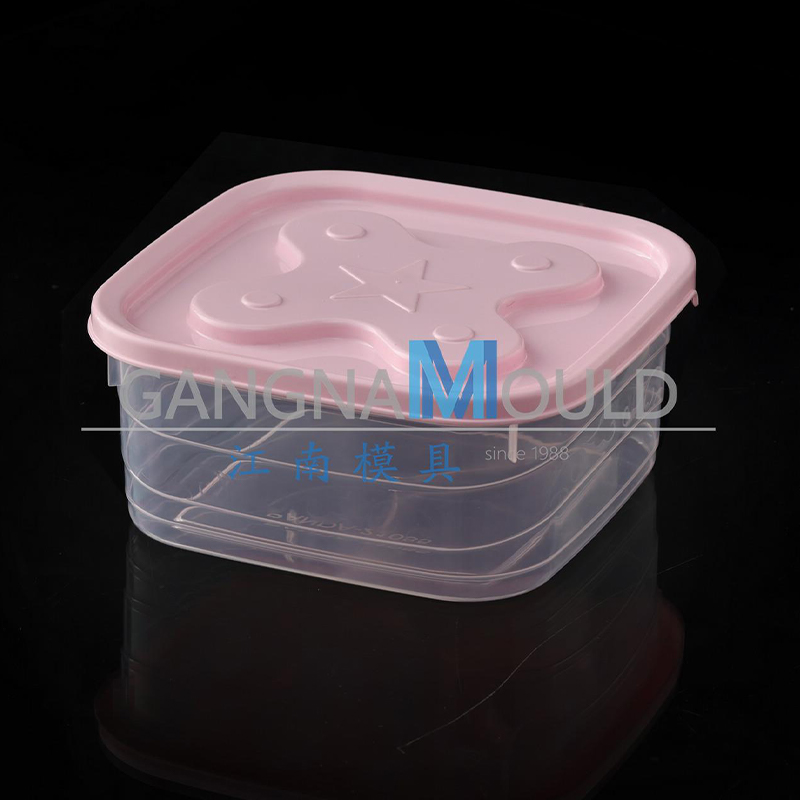 Molde de inyección de recipiente de alimentos de paredes delgadas JN-417