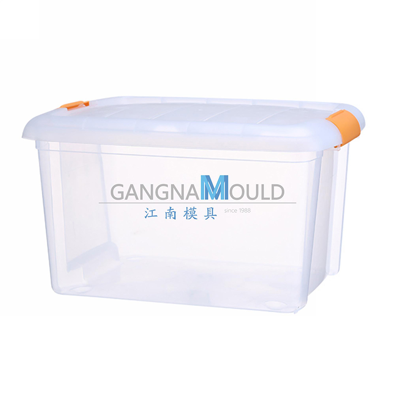Molde de inyección de caja de almacenamiento de plástico transparente JN-450