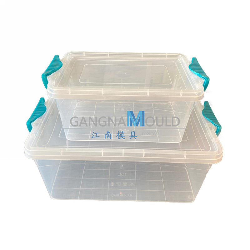 Molde de inyección de caja de almacenamiento de plástico transparente JN-447 
