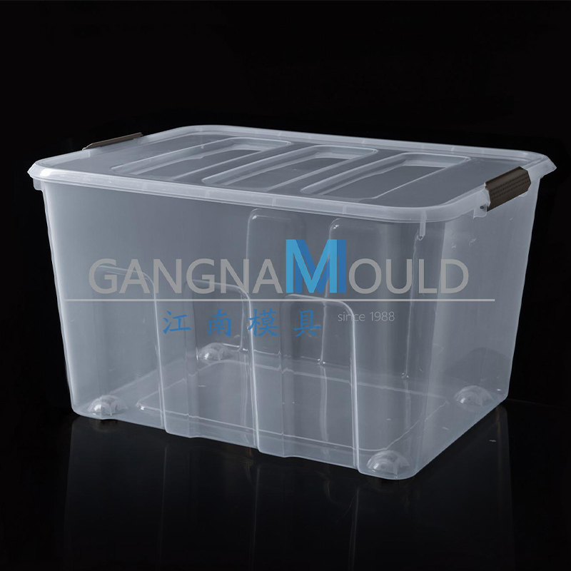 Molma De Inyección De La Caja De Almacena De Plástico Transparentes JN-446 