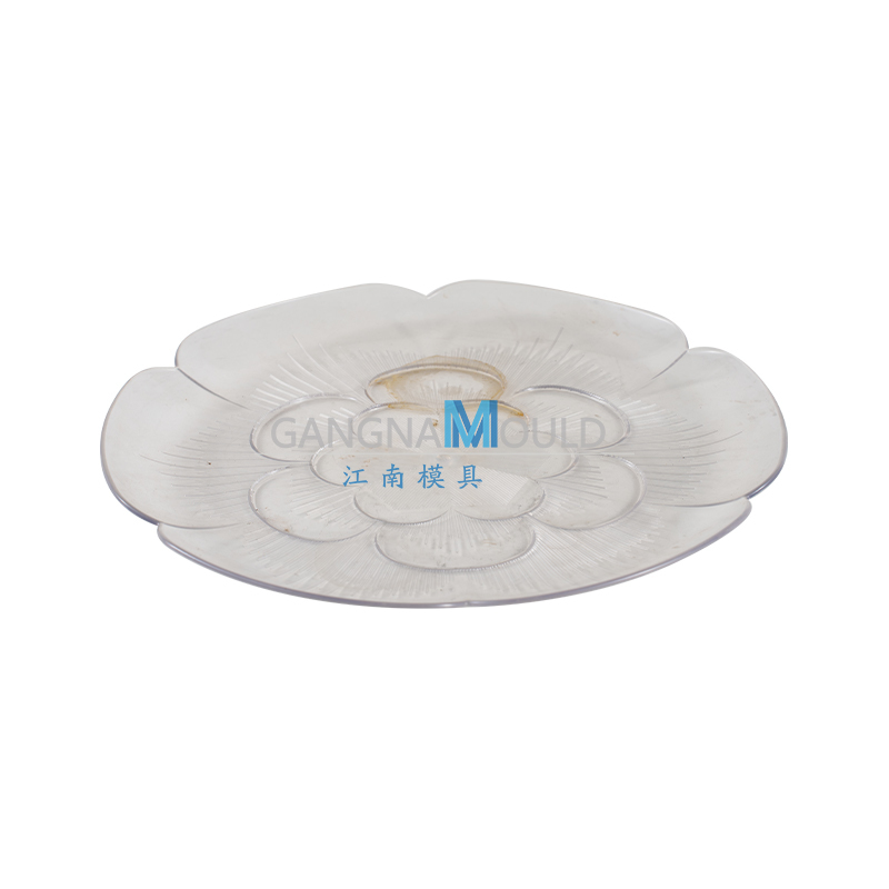 Molde de inyección de bandeja de frutas con textura transparente JN-552 